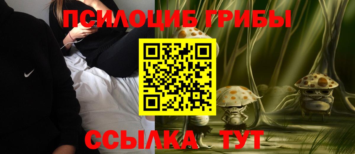 Люберцы  Галлюциногенные грибы Psilocybine cubensis  Вход с VPN 